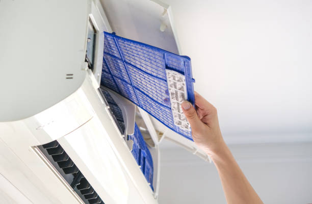Best HVAC System Cleaning  in Claxton, GA
