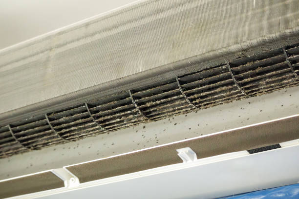 Best Ductwork Cleaning Services  in Claxton, GA